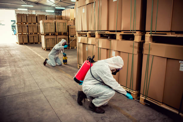 Best Pest Inspection Near Me  in Sea Breeze, NC