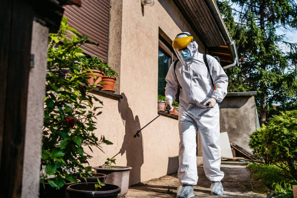 Best Wasp Removal Services  in Sea Breeze, NC