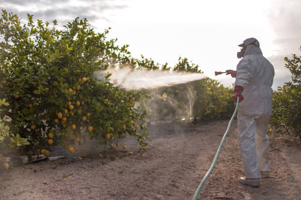 Best Pest Prevention Services  in Sea Breeze, NC