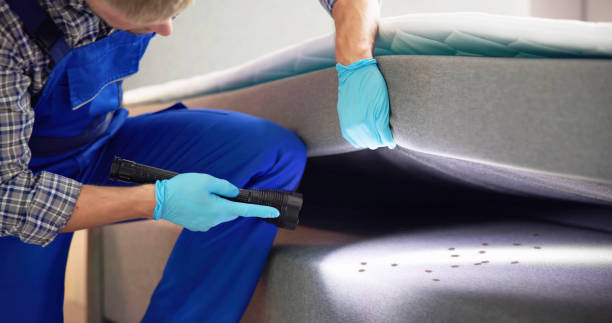 Best Pest Removal Services  in Sea Breeze, NC