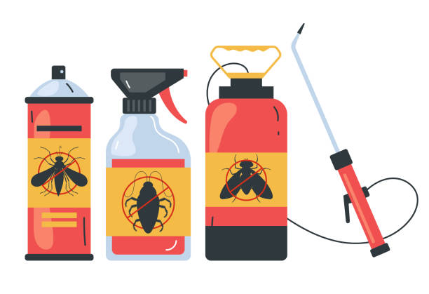 Wasp Removal Services in Sea Breeze, NC