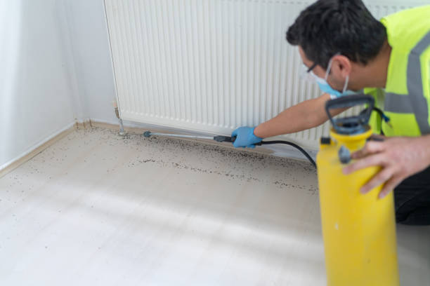 Best Flea Control Services  in Sea Breeze, NC